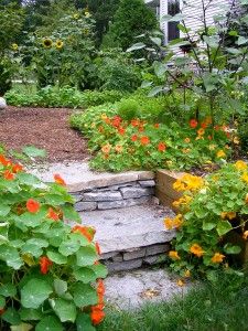 Slope Landscape, Garden Simple, Edging Plants, Easy Landscaping, Border Plants, Design Garden, Edible Flowers, Balcony Garden, Kitchen Garden