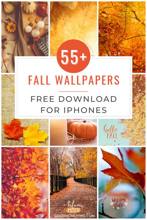 Free Download! Get 55+ fall wallpaper aesthetic wallpapers available for instant download FREE! Fall wallpaper aesthetic, fall wallpaper iphone, fall wallpaper aesthetic vintage, fall wallpaper, aesthetic iphone, fall wallpapers for iphone, fall wallpaper collage, fall wallpaper backgrounds, fall backgrounds iphone aesthetic, fall backgrounds wallpapers, fall background aesthetic, fall background wallpapers aesthetic, cozy wallpapers, cozy wallpapers phone, autumn wallpaper Fall Apple Wallpaper Iphone, Free Fall Phone Wallpaper, Fall Screen Savers Wallpapers, Fall Screensavers For Iphone, Boho Fall Wallpaper Iphone, Fall Iphone Wallpaper Rustic, Fall Backgrounds Iphone Autumn Phone Wallpapers, Iphone Wallpaper Rustic, Simple Fall Wallpaper Iphone