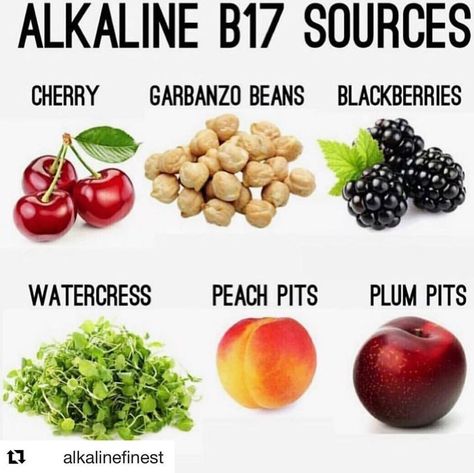 IAMBRETTSALKALINEREDIES on Instagram: “B17  #health #ntchras #manurah raspect #cherry #cherries #garbanzos #garbanzobeans #watercress #peachpits #plumpits  #Minerals are…” Herbal Doctor, Vitamin B17, Alkaline Diet Plan, Alkaline Diet Benefits, Dr Sebi Alkaline Food, Alkaline Vegan, Alkaline Recipes, Alkaline Diet Recipes, Tomato Nutrition