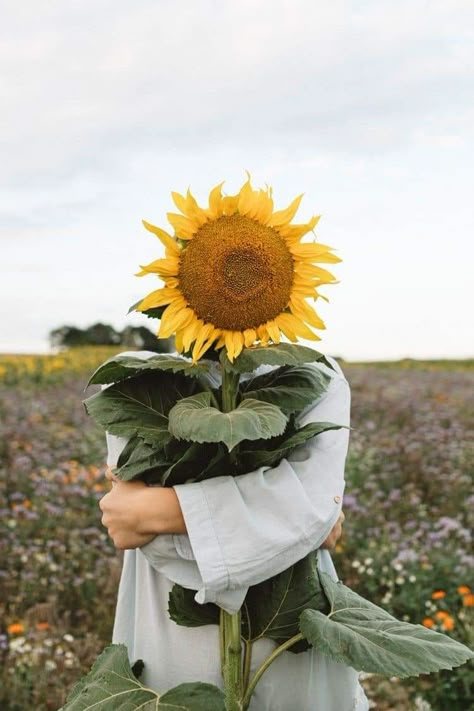 Sunflower Photography, Dreamy Photography, Sunflower Fields, Photography Inspo, The Flowers, Beautiful Photography, A Boy, Beautiful Photo, Photography Inspiration