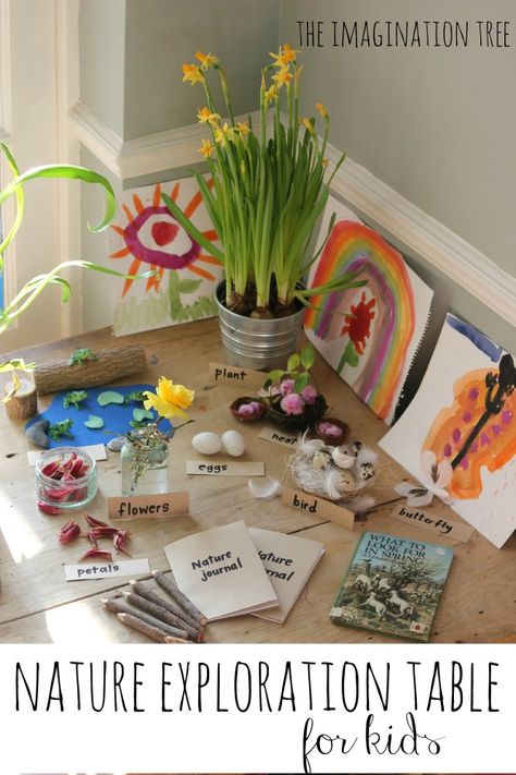 How about a little bit of exploration fun.  A nature table showcasing spring...what a fab idea. Science Table, Nature Exploration, Imagination Tree, Nature Table, Preschool Science, Nature Play, Spring Activities, Play Based Learning, Nature Study