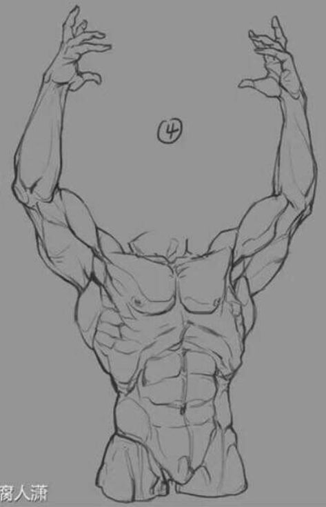 How Draw Human Body Sketch, Muscle Reference Pose, Injured Arm Reference, Muscle Man Sketch, Abs Anime Guy Sketch, Male Muscle Drawing Reference, Male Muscles Reference, Figure Studies Reference, Drawing Reference Poses Male Muscle