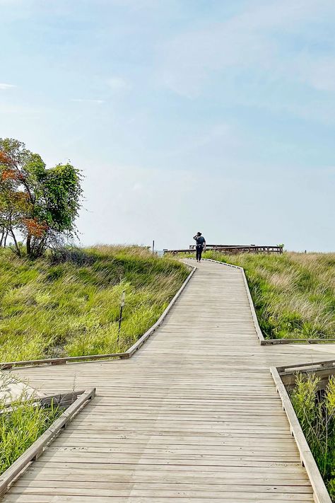 Lake Erie Ohio, Lakewood Ohio, 2025 Vibes, Cleveland Metroparks, Put In Bay, Ohio Travel, Travel North America, Summer Internship, Cleveland Clinic