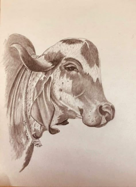 Painting by- Shailesh Raval Gir Cow Painting, Milk Advertising, Gir Cow, Pet Cows, Cow Logo, Madara Susanoo, Cow Drawing, Apple Mobile, Cow Painting