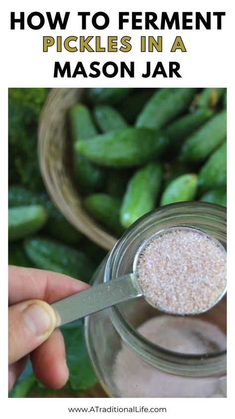 How to Ferment Pickles in a Mason Jar How To Ferment Pickles, Fermenting Cucumbers, Salt Pickles, Pickled Cucumbers Recipe, Fermented Cucumbers, Fermenting Recipes, Fermenting Weights, Fermenting Jars, How To Make Pickles