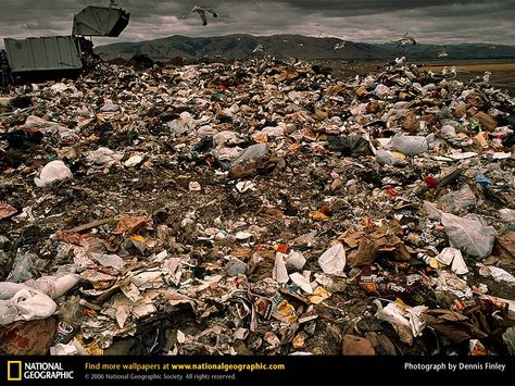 garbage-landfill Pollution Pictures, Pollution Activities, Chemical Waste, Physical Geography, Ocean Pollution, Physical Environment, Water Pollution, Nat Geo, Radhe Radhe