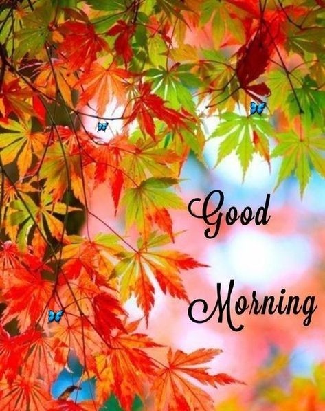 Good Morning Autumn Images, Good Morning Autumn, Good Morning Beautiful Souls, Morning Autumn, Good Morning Sister Quotes, Autumn Images, Make Today Amazing, Good Morning Sister, Morning Memes