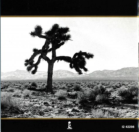 u2 album covers - Google Search U2 Joshua Tree, Famous Trees, The Joshua Tree, Classic Album Covers, Lone Tree, Music Album Covers, Music History, Joshua Tree, Tattoo Artist