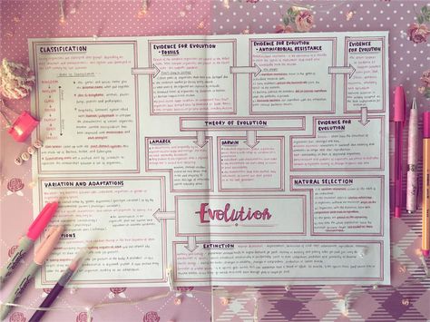 Amy☀️ on Instagram: “'On Wednesdays we write in pink🌸' I tried out a new layout of mindmap for this biology topic, I actually really like it but also really…” Concept Map Aesthetic, Mind Maping, Mind Map Examples, Brain Math, Creative Mind Map, Mind Map Art, Biology Revision, Mind Map Template, Mind Map Design