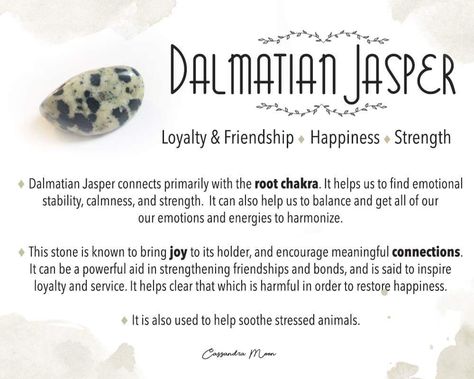 White Turquoise Meaning, Dalmation Jasper Crystal Meaning, Crystal Dictionary, Witchy Crystals, Turquoise Meaning, Leo Birthstone, Crystal Book, Pictures Of Crystals, Dalmatian Stone