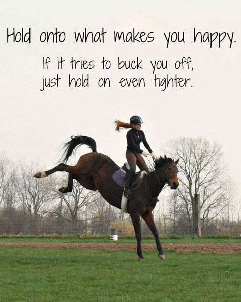 Hold onto what makes you happy. If it tries to buck you off, just hold on even tighter.  Thanks to Horse Council BC for this photo Funny Horse Quotes, Horse Quotes Funny, Inspirational Horse Quotes, Horse Riding Quotes, Equestrian Quotes, Riding Quotes, Skai Jackson, Quotes In English, Funny Horses