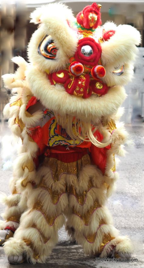 Guide to hiring a Lion Dance 舞狮 @ Singapore Chinese Lion Dance Costume, Chinese Banquet, Dancer Tattoo, Chinese Arts And Crafts, Chinese Lion Dance, Chinese Lion, Dragon Chino, Chinese Folk Art, Vietnamese Wedding