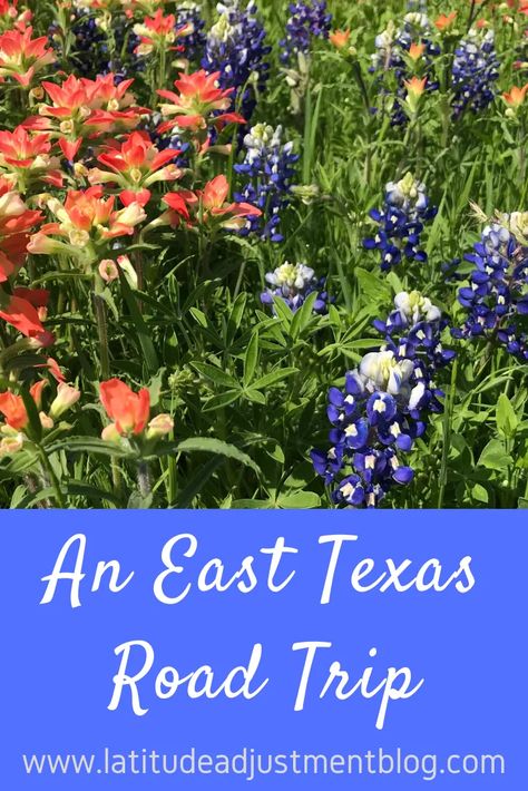 Journey with us to Longview, Texas, where the author rediscovers her East Texas roots. #texas #longview #unitedstates #travelblog Texas Hiking Trails, Texas Road Trip, Longview Texas, Explore Texas, Old Cabins, Texas Roadtrip, Indian Paintbrush, Weekend Activities, East Texas