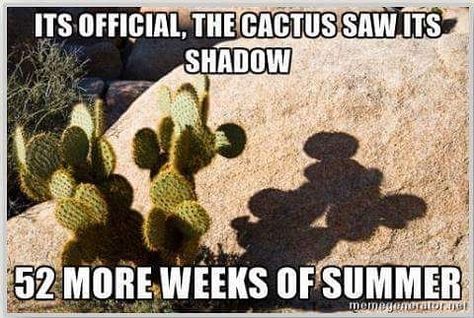 For my Arizona friends.  Oh I don't miss summers in the desert... Arizona Humor, Rain Humor, Texas Humor, Texas Weather, Texas Life, Loving Texas, Desert Life, Groundhog Day, Sarcasm Humor