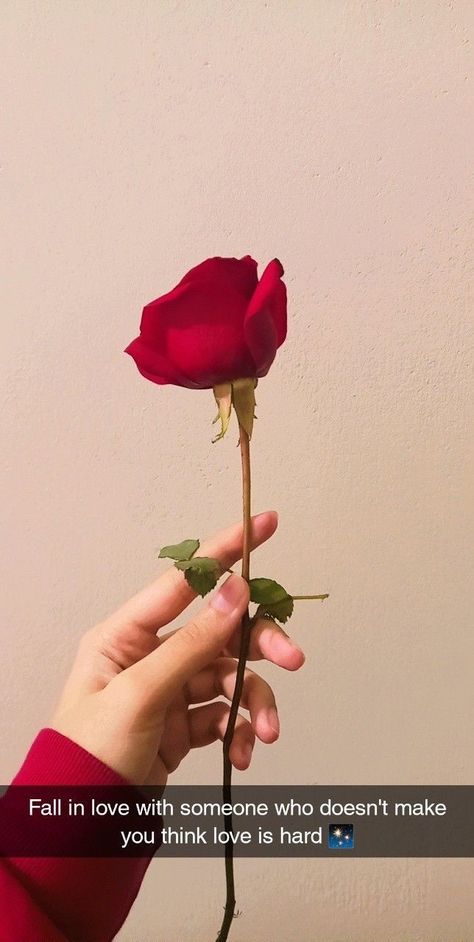 Rose Day Story Ideas, Roses Love Quotes, Love Quotes About Roses, Pics With Roses Aesthetic, Red Roses Instagram Story, Rose Day Instagram Story, Red Roses Snapchat, Fake Love Snapchat Story, Red Rose Quotes Love