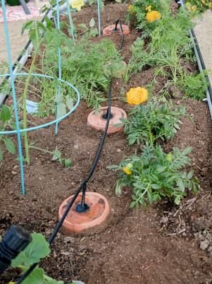 Vegetable Garden Watering System Diy, Raised Garden Watering System, Ollas Irrigation Diy, Gorilla Gardening, Diy Olla, Olla Irrigation, Garden Watering System, Diy Raised Garden, Watering System