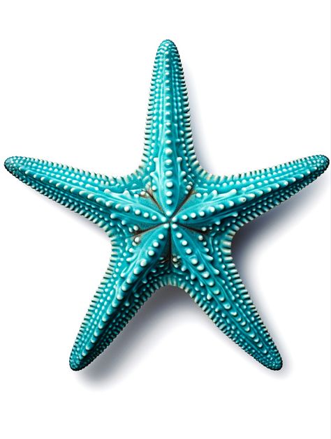 Stars Clip Art, Cartoon Spaceship, Sea Nails, Shark Pictures, Sea Stars, Star Fish, Cute Clipart, Sea Star, Marine Biology