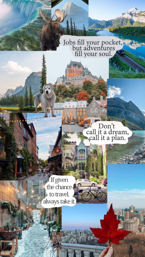 Canada #canadiansummer #quebec #canada #canadaaesthetic #travelling #travel #travelmoodboard #travelinspo #travelshuffles #travelcollage #naturevibes #nature #natureaesthetic #travelling Quebec Canada, Collage, Travel, Nature