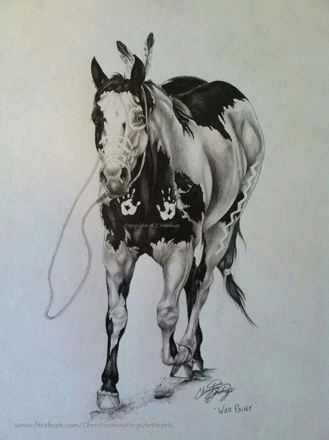 War pony Indian And Horse Tattoo, Native Horse Drawing, Native Horse Tattoo, Native American Horse Tattoo, Indian Horse Tattoo, Equine Art Pencil Drawings, Commissions Art, Horse Stencil, Horse Tattoo Design