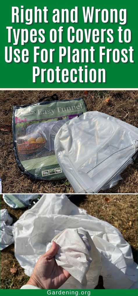 Right and Wrong Types of Covers to Use For Plant Frost Protection Plant Frost Cover Diy, Plant Protection From Frost, Garden Frost Protection, Frost Covers For Gardens, Covering Plants For Freeze, Diy Plant Covers For Winter, Protecting Plants From Freeze, Cover Plants For Freeze, Protecting Plants From Frost