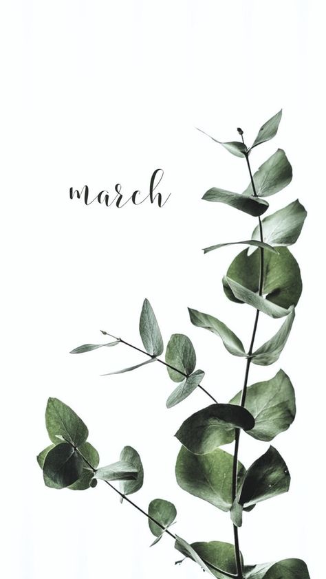 March Lockscreen Phone Wallpapers, Spring Wallpaper Iphone Green, March Iphone Background, March Iphone Wallpaper Aesthetic, March Vibes Wallpaper, March Background Aesthetic, March Themed Wallpaper, March Phone Background, Hello March Aesthetic