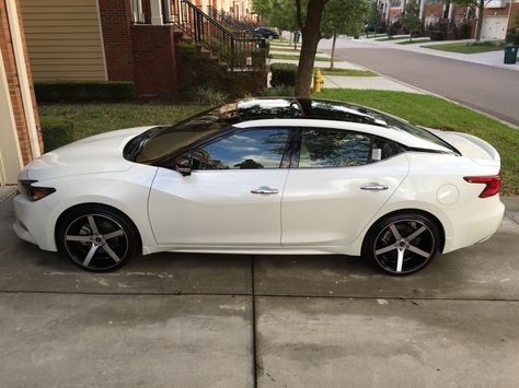 2016 Nissan Maxima www.imperionissangardengrove.com White Nissan Altima, 2016 Nissan Maxima, White Nissan, Nissan Maxima 2016, Dream Cars Bmw, Cars Bmw, Mom Car, Lovely Car, Sweet Cars