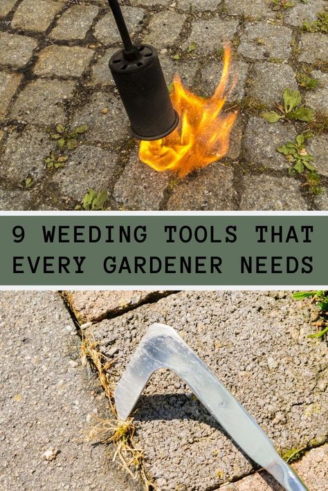 Garden Weeding Tools, Farm Landscaping, Mailbox Landscaping, Types Of Mulch, Gardening Tool Kit, Best Garden Tools, Pulling Weeds, Baseball Room, Planting Tools