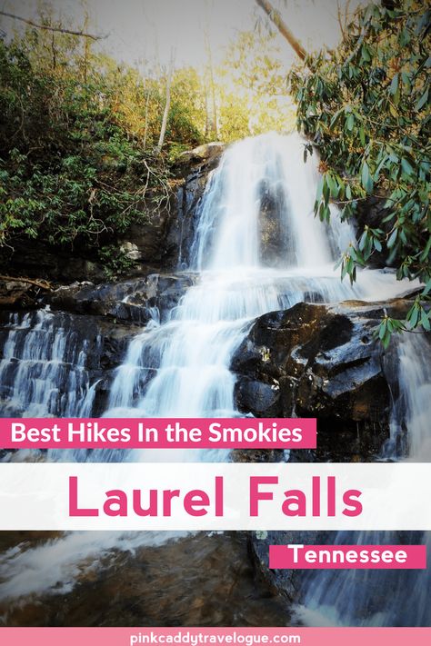 The Laurel Falls Hike in Great Smoky Moutains National Park is one of the park's most popular. It's relatively short and easy but very rewarding, and can be done by just about anyone! Read on for everything you need to know about this great hike. #tennessee #greatsmokymoutains #waterfalls #hiking #laurelfalls Laurel Falls Tennessee, Laurel Falls Great Smoky Mountains, Tennessee Waterfalls, Mountain Trip, Laurel Falls, Smokey Mountain, Mountains Travel, Tennessee Vacation, Usa Travel Guide