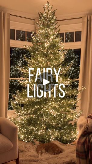 56K views · 171 reactions | I hung 5,760 twinkle fairy lights on our Christmas tree!!! 🌲🧚🏻✨ 
This took forever and I’m already DREADING taking them off but I’ve never seen anything more magical and will never not have them on our tree. Luke is obsessed too. I don’t even want to add ornaments it’s so beautiful!!!! 🥹 My lights are from @anthropologie. I used 6 strands on a 9ft. tree. They’re linked in my LTK as well as some more affordable options from Amazon with GREAT reviews! ✨ | Mary Beth Wilhelm Ornament With Fairy Lights, Just Lights Christmas Tree, Fairy Light Christmas Decor, Twinkle Lights On Christmas Tree, Twinkle Lights For Christmas Tree, Christmas Tree Only Lights, Twinkle Lights Christmas Tree, Christmas Tree Just Lights, Christmas Tree Fairy Lights