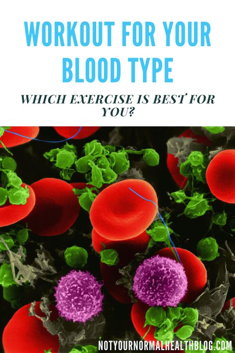 Ab Positive Blood Type Diet, Blood Type Diet For A, Ab Foods, Blood Group Diet, O Positive Diet, B Positive Blood Type, Food For Blood Type, A Negative Blood, Type O Recipes