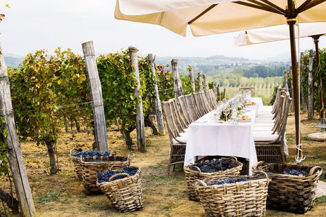 Villa La Madonna - Villa La Madonna Outdoor Pool Area, Piedmont Italy, Italian Vacation, Small Luxury Hotels, Italian Villa, The Font, Beautiful Villas, Hotel Restaurant, Beautiful Interiors