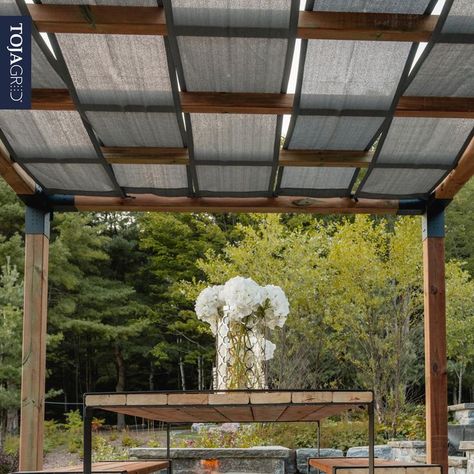 Pergola With Shade Cloth, Outdoor Shade Ideas Cheap, Pergola Shade Ideas, Contemporary Pergola, Ombra Pergola, Modern Pergola Designs, Pergola Shade Cover, Rustic Pergola, Patio Sun Shades