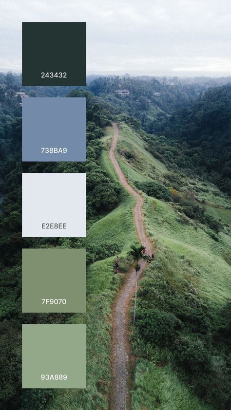 A good colors that work together in a color palette:
243432
738BA9
E2E8EE
7F9070
93A889 Color Pallets Nature, Moss Green Colour Palette, Agriculture Color Palette, Color Categories, Bali Nature, Earth Colour Palette, Color Palette Interior Design, Hex Color Palette, House Color Palettes