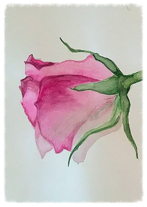 Watercolor Paintings For Beginners, Watercolour Inspiration, Watercolor Paintings Easy, Watercolor Painting Techniques, Watercolor Flower Art, Cat Air, 수채화 그림, Watercolor Art Lessons, Watercolor Paintings Tutorials