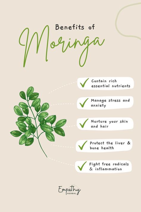 Moringa, Moringa oleifera, moringa benefits, moringa power, moringa powder, moringa capsules, health benefits of moringa Benefits Of Moringa Leaves, Health Benefits Of Moringa, Benefits Of Moringa, Moringa Benefits, Moringa Leaf Powder, Moringa Leaves, Balance Hormones, Increase Energy Levels, Improve Digestion