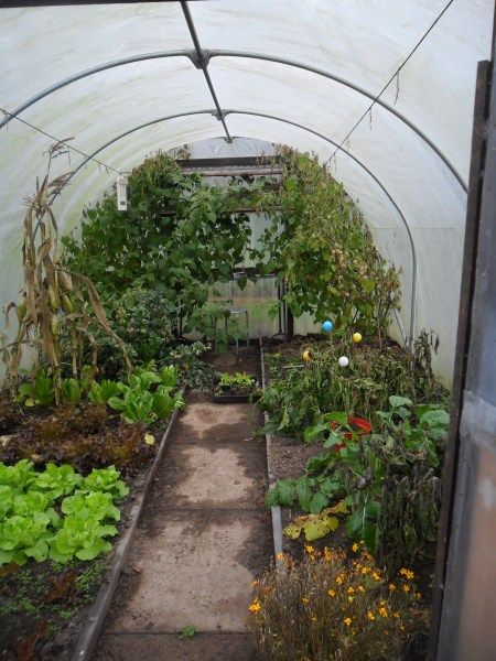 Serre Diy, Dream Greenhouse, Poly Tunnel, Diy Greenhouse Plans, Best Greenhouse, Planting Ideas, Greenhouse Plans, Veg Garden, Diy Greenhouse