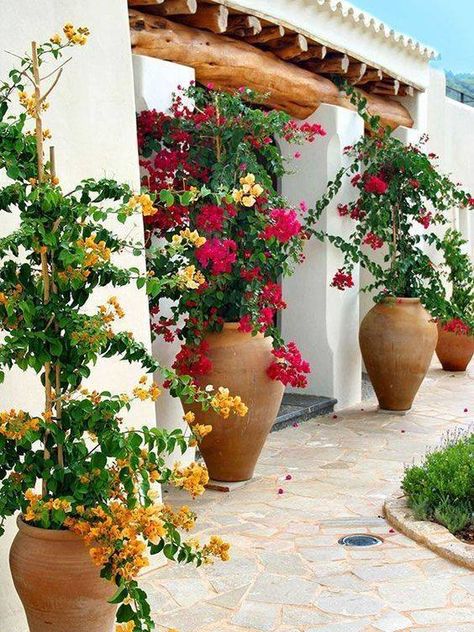 Diy Garden Landscaping, Moderne Have, Cheap Landscaping Ideas, Fall Container Gardens, نباتات منزلية, Have Inspiration, Front Yard Garden, Small Backyard Landscaping, Tropical Garden