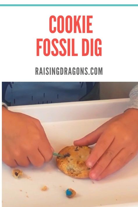 Cookie Fossil Dig * ages 3+ ⋆ Raising Dragons Fossil Preschool Activities, Quiet Boxes, Raising Dragons, Fossils Activities, Educational Activities For Toddlers, Elementary Stem Activities, Simple Cookie, Dinosaur Dig, Activity For Preschoolers