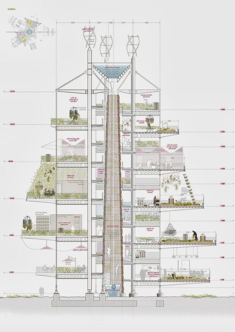 Master Thesis, Vertical Farming, Office Tower, Architectural Section, Local Farmers Market, Architectural Drawing, Architecture Illustration, Urban Farming, Architecture Fashion