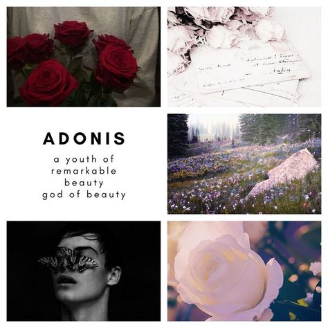 Adonis Greek, Greek Mythology Quotes, Greek Gods And Goddesses, Greek And Roman Mythology, Greek Mythology Art, Flower Meanings, Roman Mythology, Heaven And Hell