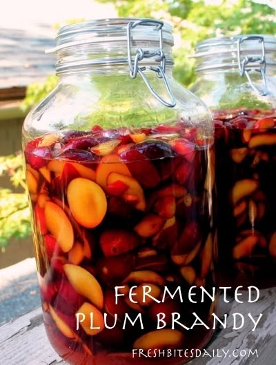 Plum Brandy, Brandy Recipe, Homemade Wine Recipes, Homemade Alcohol, Plum Recipes, Homemade Liquor, Liquor Recipes, Moonshine Recipes, Liqueurs Recipes