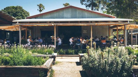 The Three Blue Ducks Team Is Opening a Restaurant in the Snowy Mountains - Concrete Playground | Concrete Playground Sydney French Oak Flooring, Opening A Restaurant, Australian Painters, Sydney Restaurants, Byron Bay Australia, Restaurant Concept, Farm Stay, Snowy Mountains, French Oak