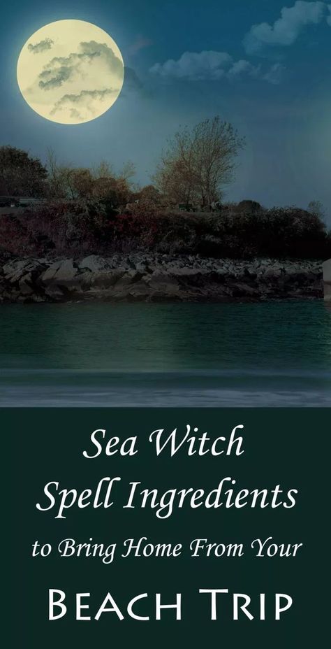 Sea Witch Spell Ingredients to Bring Home from the Beach - Moody Moons Sea Water Spells, Sea Witch Spells, Seashells Witchcraft, Sea Witch Aesthetic, Witchcraft Ideas, Apothecary Room, Vanessa Ursula, Water Witchcraft, Sea Witchcraft