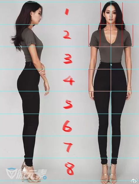 Female Portrait Poses, 3d Templates, Drawing Female Body, Body Shape Drawing, Anatomy Models, Body Drawing Tutorial, Character Model Sheet, Anime Drawing Books, Human Drawing