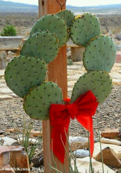 Prickly pear wreath Cactus Wreath, Natal Country, Mexican Christmas Decorations, Texas Christmas, Mexican Christmas, Cowboy Christmas, Front Porch Christmas, Western Christmas, Country Christmas