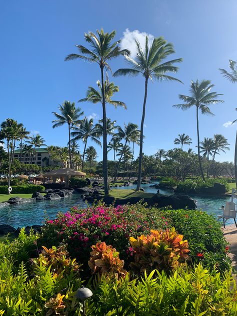 Koloa Landing Resort Kauai, Grand Hyatt Kauai, Kauai Resorts, Hawaiian Resorts, Napali Coast, Waimea Canyon, Waterfall Features, Pacific Islands, Grand Hyatt