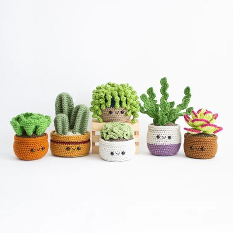 Succulent Pattern, Crochet Succulent, Crochet Cactus, Pola Amigurumi, Crochet Plant, Crochet Vintage, Beginner Crochet Projects, Quick Crochet, Fun Crochet Projects