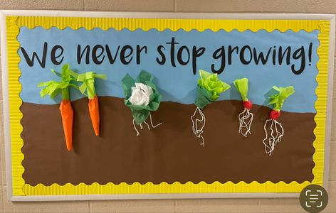 Farming Bulletin Board Ideas, Planting Board, Garden Theme Classroom Bulletin Boards, Farmers Market Bulletin Board, Farmers Market Classroom Door, Vegetable Bulletin Board, Garden Bulletin Board Ideas, Farmers Market Classroom Theme, Agriculture Bulletin Board Ideas