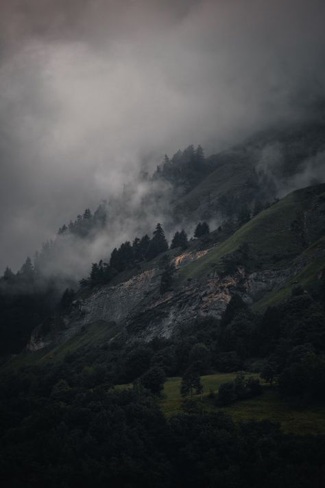 A foggy valley with trees and hills photo – Free Grey Image on Unsplash Foggy Hills, Mountain Images, Foggy Mountains, Picture Tree, Tree Images, Forest Wallpaper, Grey Wallpaper, Nature Images, Scenery Wallpaper