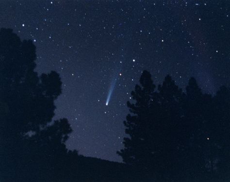 Comet Hyakutake was the first “Great Comet” to appear after the development of much of modern computer and communications technology.  Image is a photograph of Comet Hyakutaketaken by Alan Hale on the evening of April 16, 1996. Comet Aesthetic, Halley’s Comet Tattoos, Halley’s Comet Wallpaper, Haley's Comet, Fallen Star, Eyes Aesthetic, Halley's Comet, Gardens Of Babylon, The Great Comet